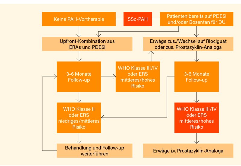 Abb. 2: Therapiealgorithmus für Patienten mit SSc-assoziierter pulmonal-arterieller Hypertonie (PAH)
