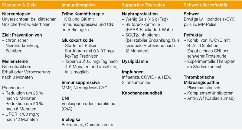 Tab. 1: Zusammenfassung der 2025 EULAR-Recommendations zur Behandlung der LN (4)