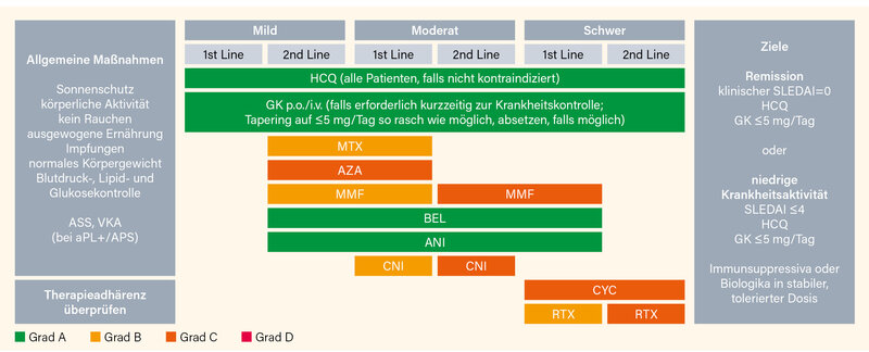 Abb. 1: Therapie des nicht-renalen SLE
