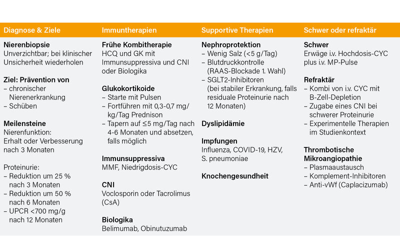 Tab.: Zusammenfassung der 2025 EULAR-Recommendations zur Behandlung der LN