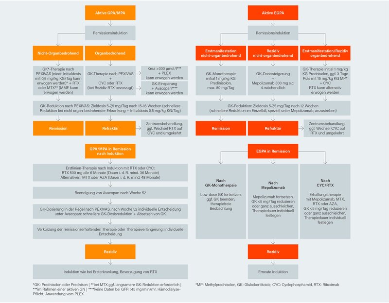 Abb.: Therapiealgorithmen für GPA/MPA (1) und EGPA (2)